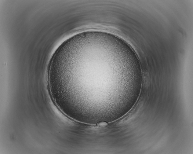 X0000111371531200907101200