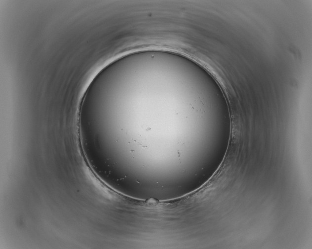 X0000111371532200907101200