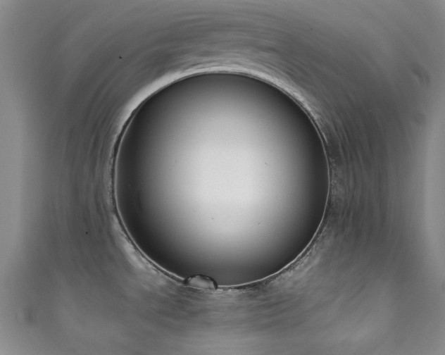 X0000111371534200907101200