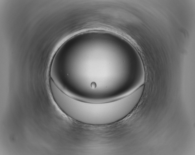 X0000111371536200907101200