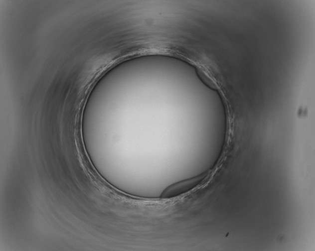 X0000111370001200907171210