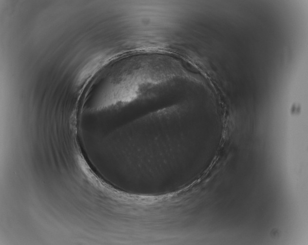 X0000111370002200907171210