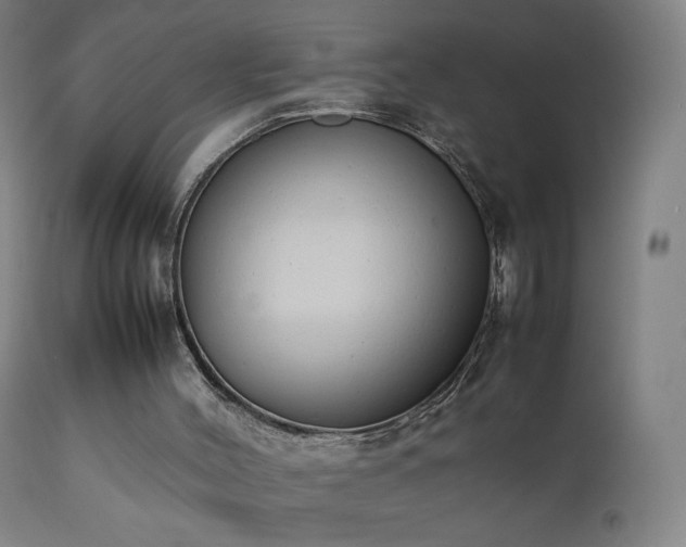 X0000111370004200907171210