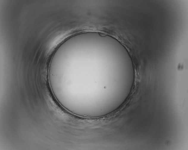 X0000111370005200907171210