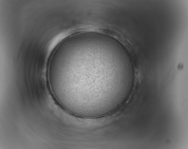 X0000111370006200907171210