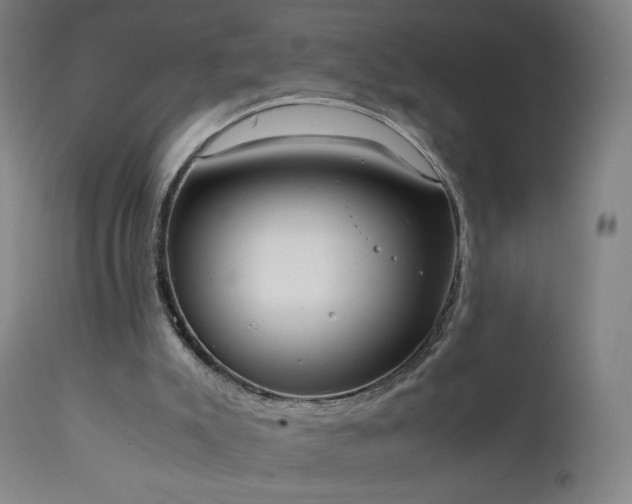 X0000111370007200907171210