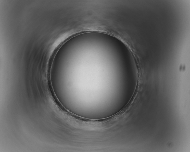 X0000111370008200907171210