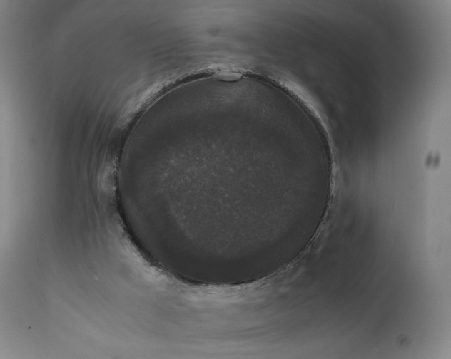 X0000111370009200907171209