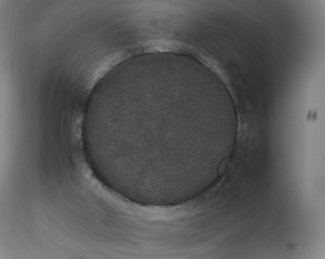 X0000111370010200907171209