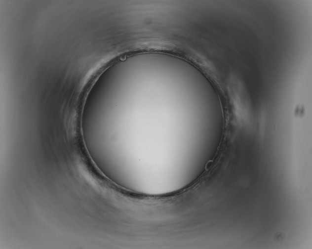 X0000111370012200907171209