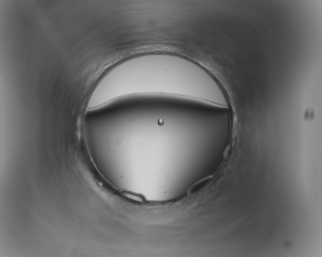 X0000111370013200907171209