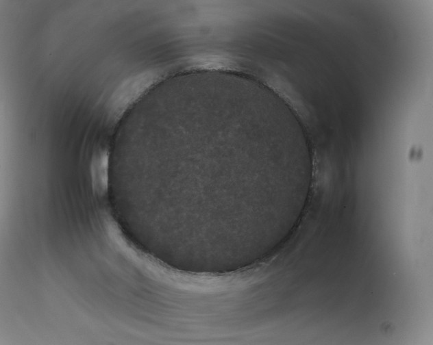 X0000111370014200907171209