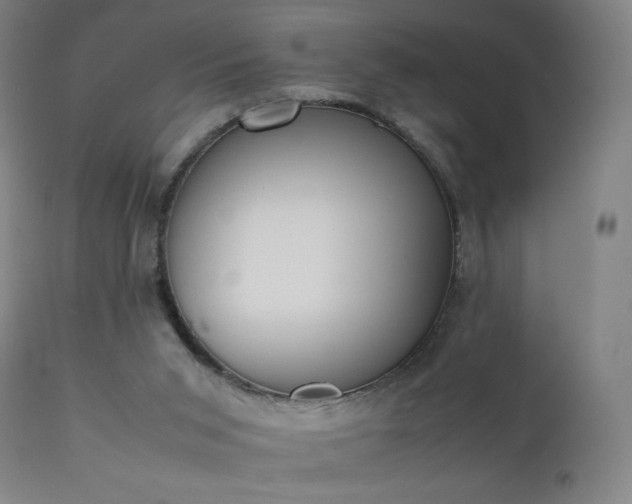 X0000111370015200907171209