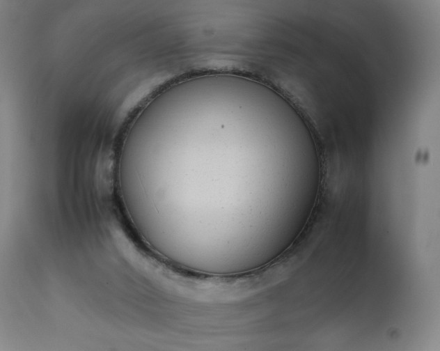 X0000111370016200907171209