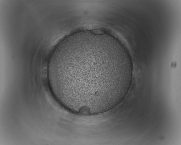 X0000111370017200907171209