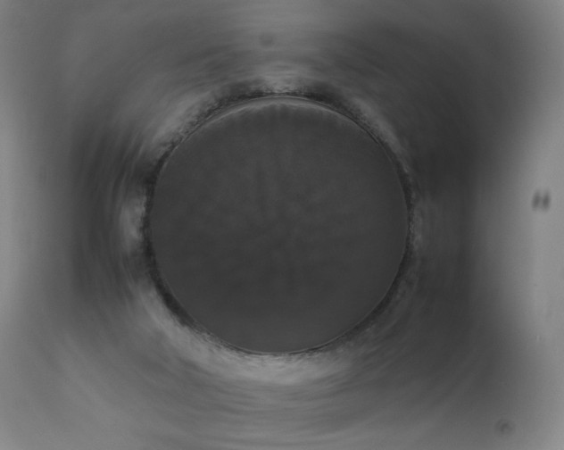 X0000111370018200907171209