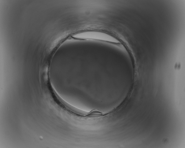 X0000111370019200907171209