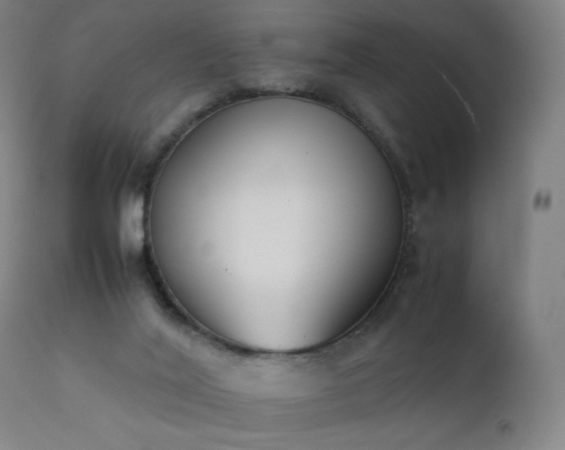 X0000111370020200907171209