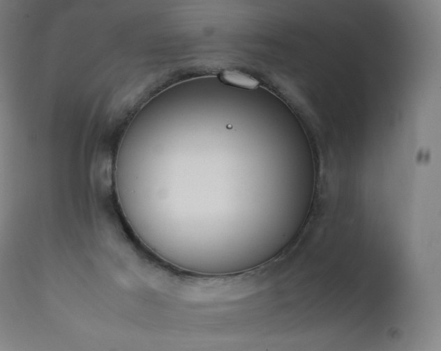 X0000111370021200907171209