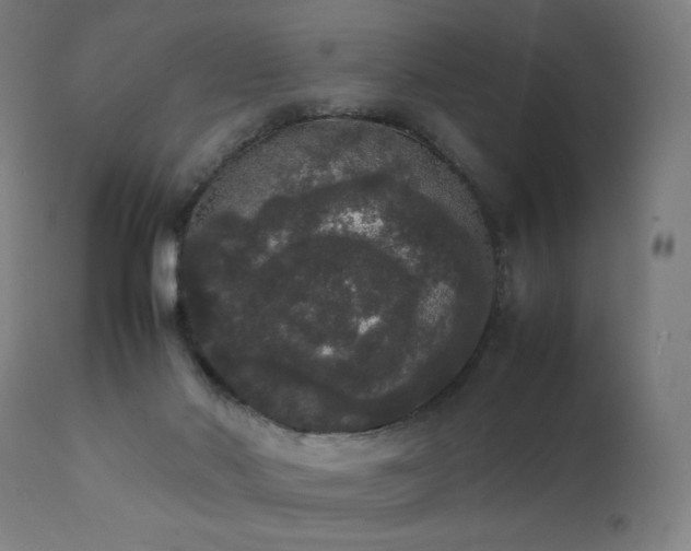 X0000111370022200907171209