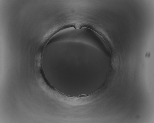 X0000111370023200907171209