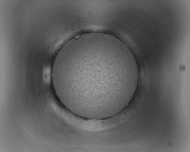 X0000111370024200907171209