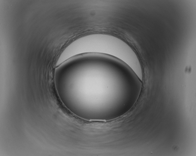 X0000111370025200907171209