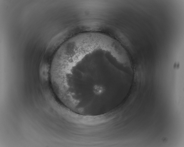 X0000111370026200907171209