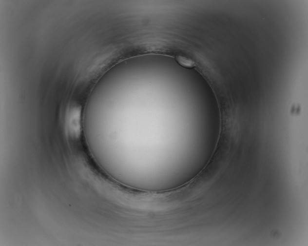 X0000111370028200907171209