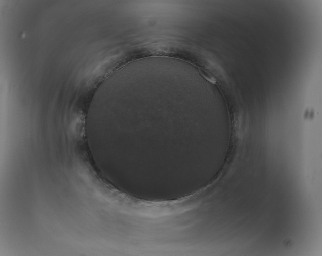 X0000111370029200907171209