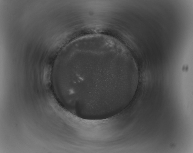 X0000111370030200907171209