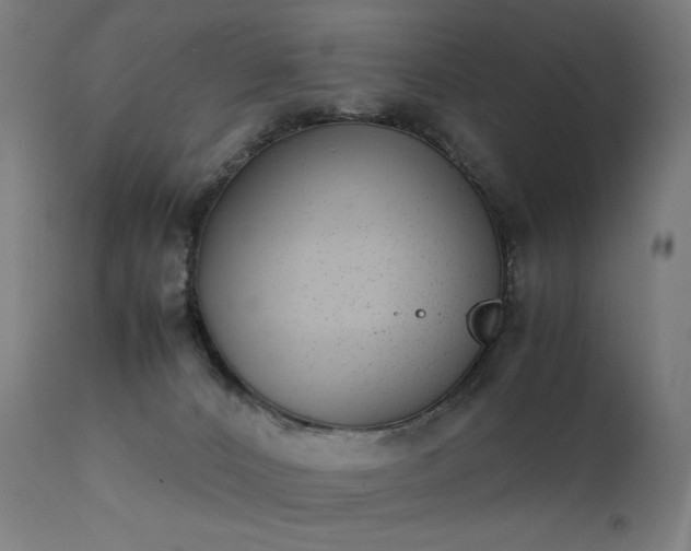 X0000111370032200907171209