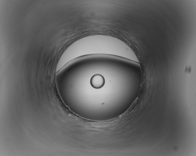 X0000111370033200907171209