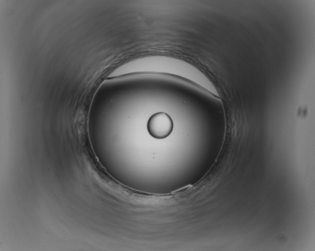 X0000111370036200907171209