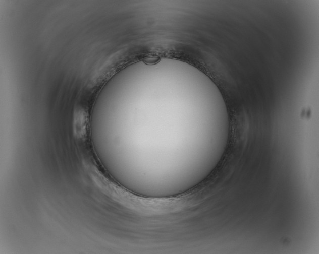 X0000111370038200907171209