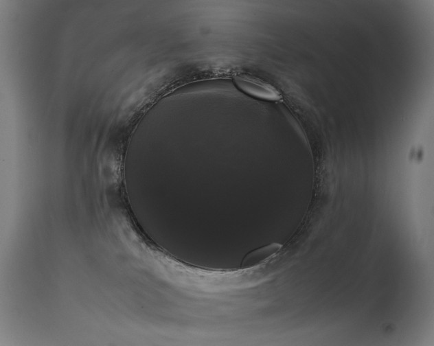 X0000111370039200907171209