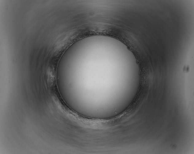 X0000111370040200907171209