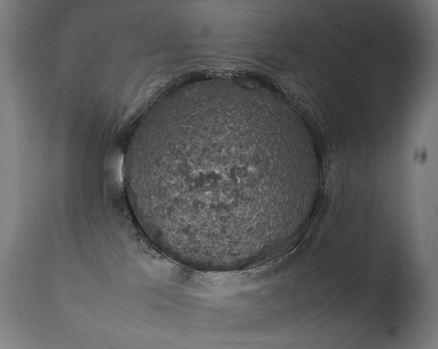 X0000111370041200907171209