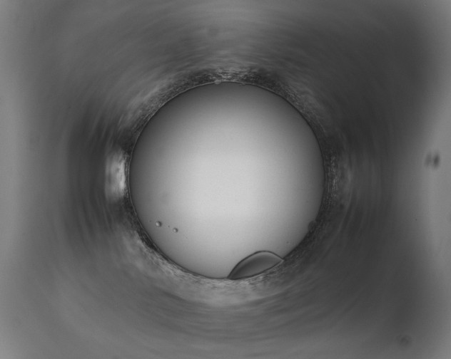 X0000111370042200907171209