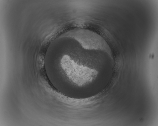 X0000111370043200907171209