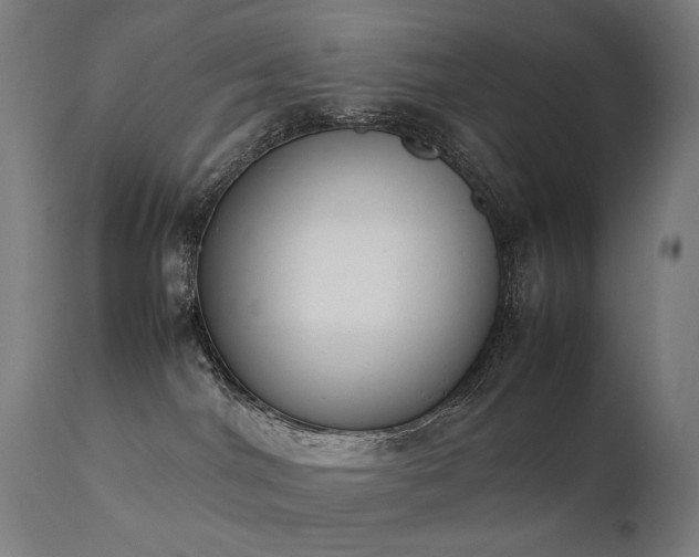 X0000111370044200907171209