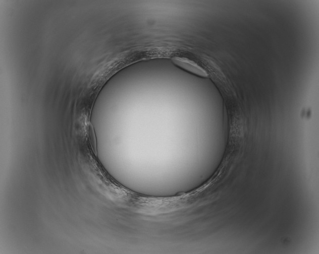 X0000111370045200907171209