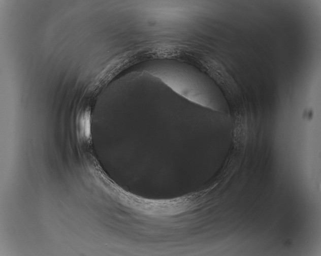 X0000111370046200907171209