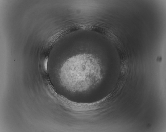 X0000111370047200907171209