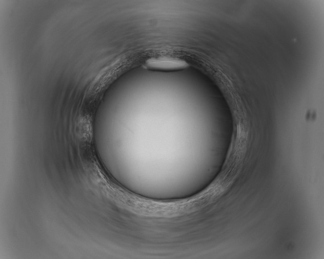 X0000111370048200907171209