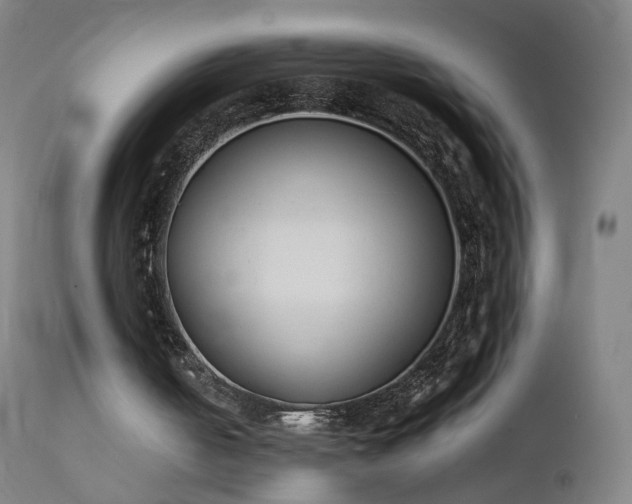 X0000111370050200907171208