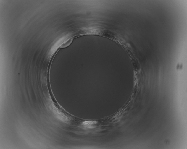 X0000111370051200907171208