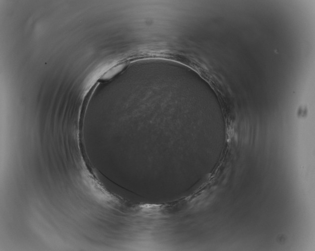 X0000111370052200907171208