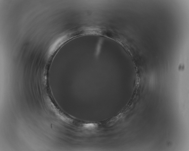 X0000111370053200907171208