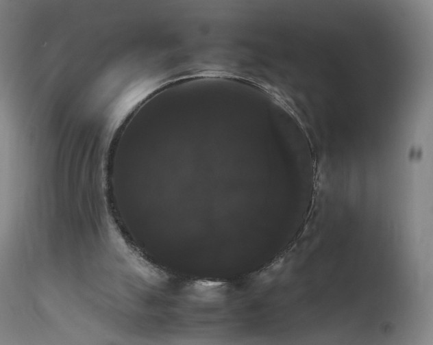 X0000111370055200907171208